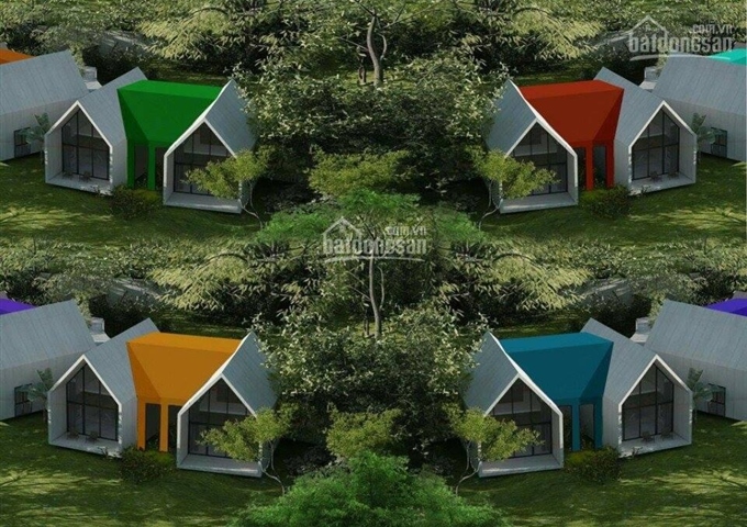 Zen ra mắt Sunset Villas + The Hill Villas - Hòa Bình 999tr/căn phương thức thanh toán linh hoạt