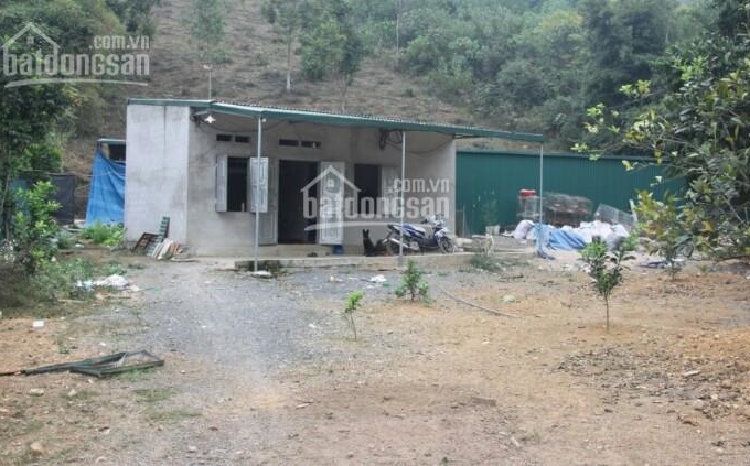 Cần bán 3400 m2 đất tại thôn Nước Vải -Tân Vinh -Lương Sơn -Hòa Bình