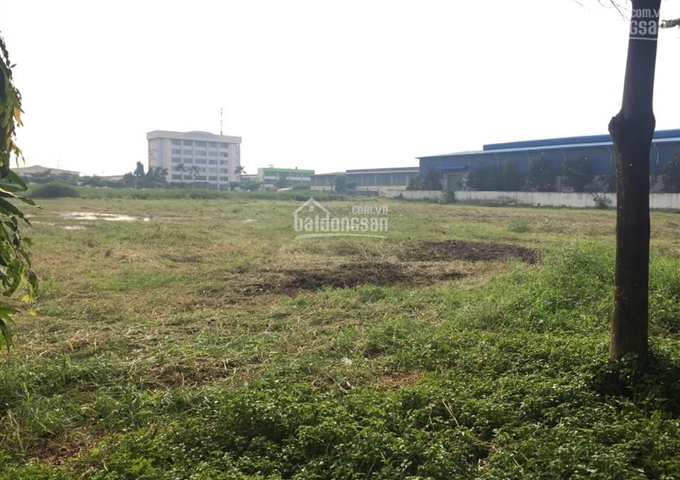 Trí BĐS - Bán 2 lô đất khu công nghiệp Tân Tạo giá 5,9 triệu/m2: 6.300m2 và 8.000m2 - vị trí đẹp