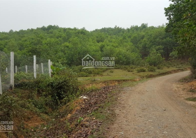 Bán đất đồi tại Lương Sơn, Hòa Bình