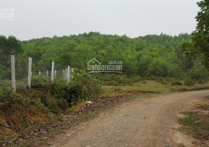 Bán đất đồi tại Lương Sơn, Hòa Bình