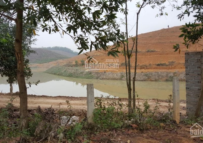 Bán đất đồi tại Lương Sơn, Hòa Bình