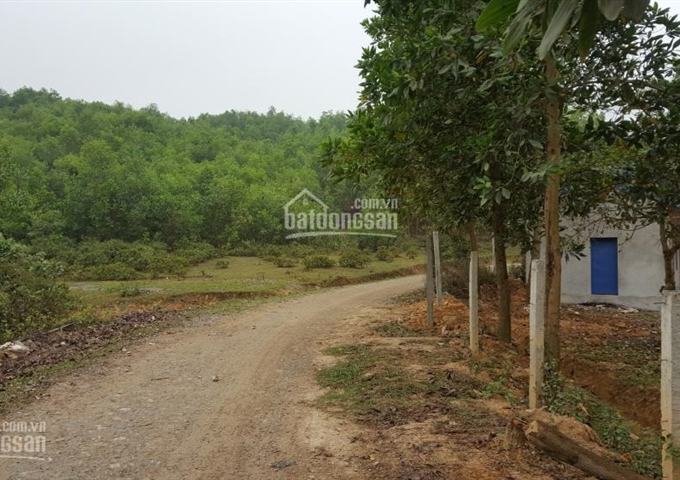 Bán đất đồi tại Lương Sơn, Hòa Bình