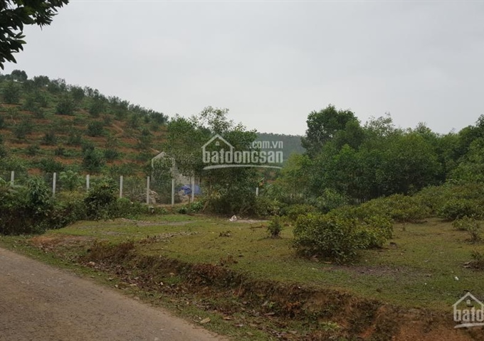 Bán đất đồi tại Lương Sơn, Hòa Bình