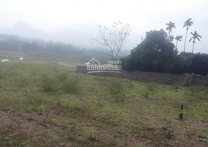 Bán lô đất vị trí đẹp phù hợp làm trang trại nghỉ dưỡng DT 3445m Xã Cư Yên