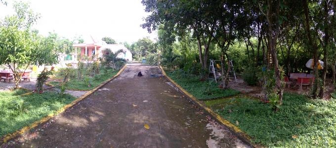 Bán gấp vườn tiêu xã Tân Thành, huyện Bù Đốp, tỉnh Bình Phước