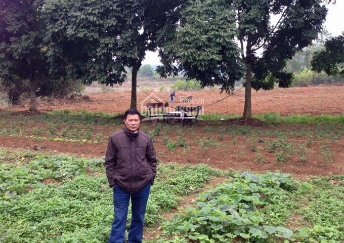 Bán đất vườn mặt hồ Đồng Mô thuộc thôn Lòng Hồ, xã Kim Sơn đối diện sân Golf Đồng Mô