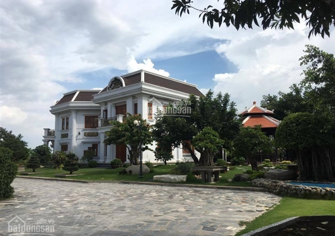 Bán đất nền KDC Hải Yến giá rẻ nhất Bình Chánh, chỉ 9tr/m2, bao sang tên, xây dựng tự do