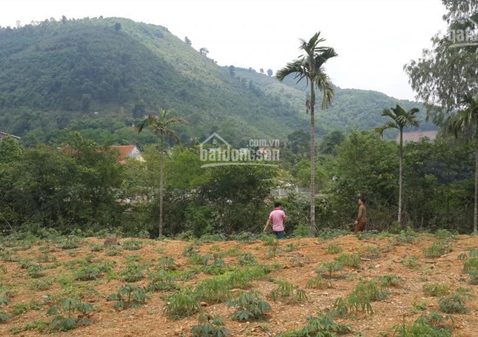 Bán 1700m2 đất mặt hồ Đá Dựng, trại mới Tiến Xuân, cách TT Hà Nội 30km