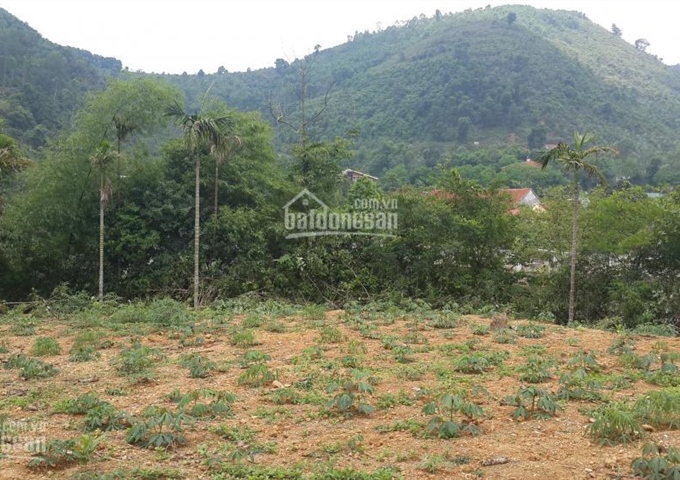 Bán 1700m2 đất mặt hồ Đá Dựng, trại mới Tiến Xuân, cách TT Hà Nội 30km