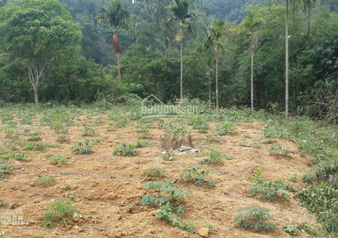 Bán 1700m2 đất mặt hồ Đá Dựng, trại mới Tiến Xuân, cách TT Hà Nội 30km