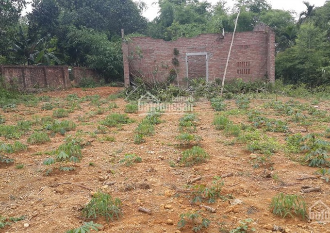 Bán 1700m2 đất mặt hồ Đá Dựng, trại mới Tiến Xuân, cách TT Hà Nội 30km