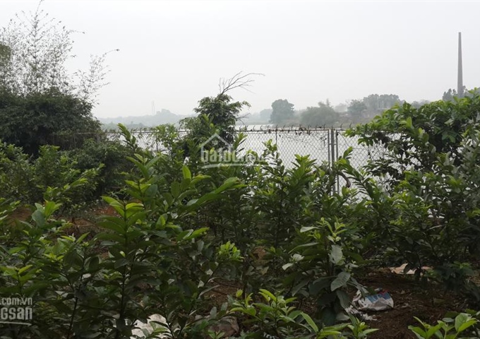 Bán 1700m2 đất mặt hồ Đá Dựng, trại mới Tiến Xuân, cách TT Hà Nội 30km