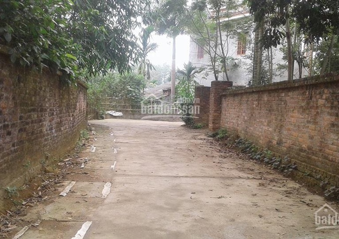 Bán 1080m2 thôn 3 Phú Sơn Xã Phú Cát Quốc Oai Hà Nội