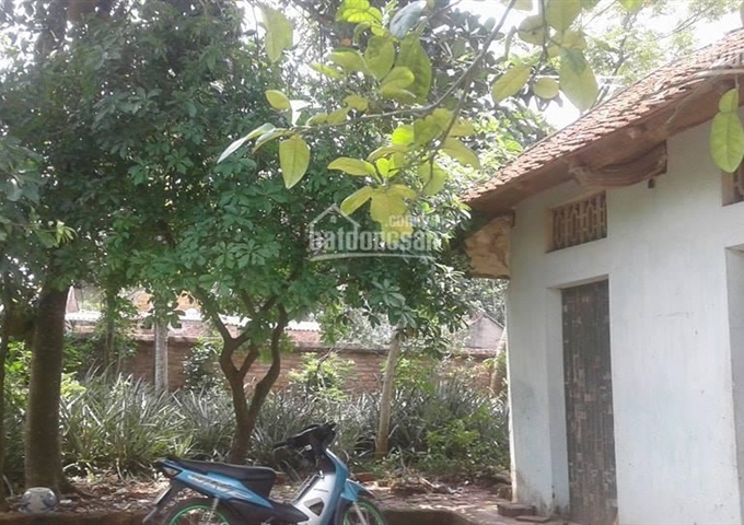 Bán 1080m2 thôn 3 Phú Sơn Xã Phú Cát Quốc Oai Hà Nội