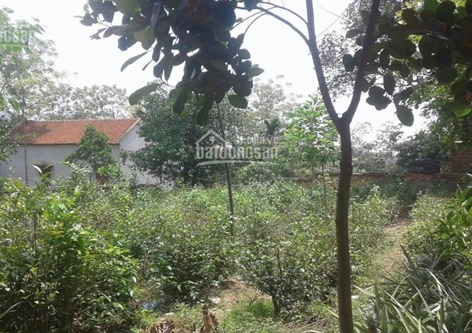 Bán 1080m2 thôn 3 Phú Sơn Xã Phú Cát Quốc Oai Hà Nội