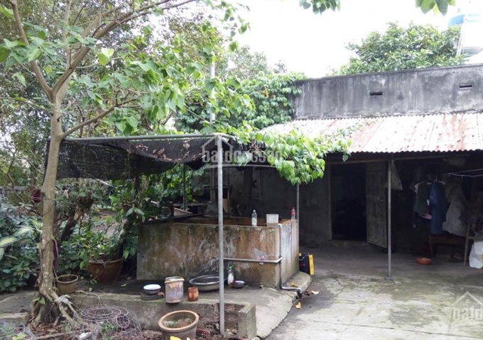 Bán nhà và đất tại an phước long thành đồng nai