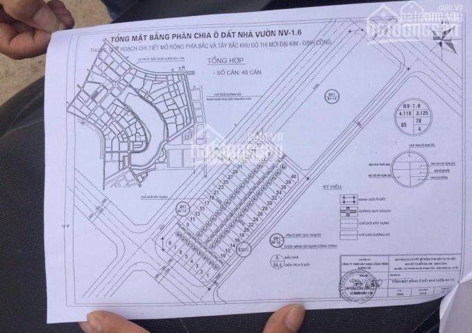 Bán phân lô liên kề, (Đại Kim - Định Công Mở Rộng) DT 85m2, 95m2, MT 5m, đường 17.5m, giá 35tr/m2