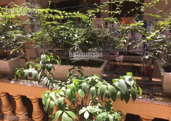 Bán nhà đầu ngõ đường Giáp Bát gần nhà thờ Làng Tám, KD tốt, ô tô vào nhà, giá từ 2,4 tỷ đến 6.3 tỷ