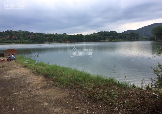 Chính chủ cần bán 3000m2 đất thổ cư ngay hồ Phú Nghĩa xã Minh Phú, Sóc Sơn, Hà Nội