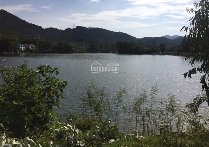 Chính chủ cần bán 3000m2 đất thổ cư ngay hồ Phú Nghĩa xã Minh Phú, Sóc Sơn, Hà Nội