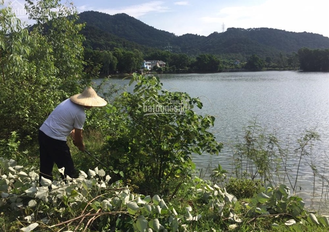 Chính chủ cần bán 3000m2 đất thổ cư ngay hồ Phú Nghĩa xã Minh Phú, Sóc Sơn, Hà Nội