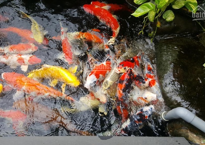 Bán BT VIP Bằng Lăng, khu đô thị Vinhomes Riverside, Long Biên, Hà Nội. LH: 0120.231.6666