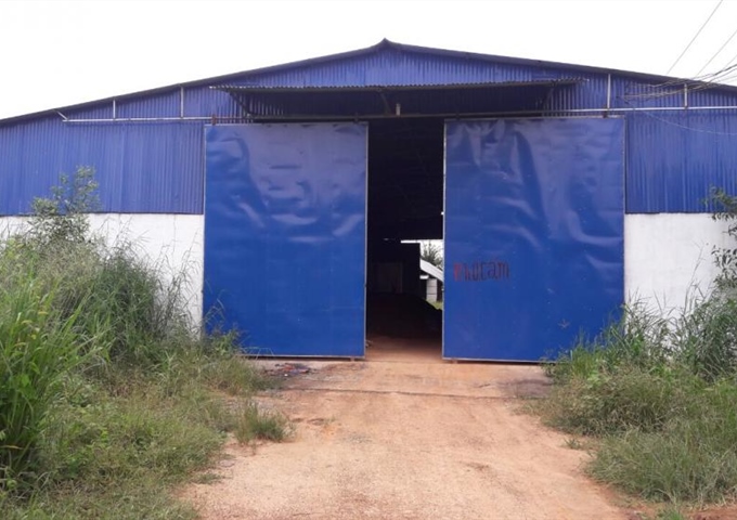 Chính chủ cần bán gấp trang trại heo, Châu Đức, Vũng Tàu