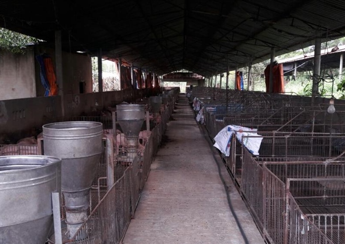 Chính chủ cần bán gấp trang trại heo, Châu Đức, Vũng Tàu