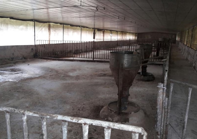 Chính chủ cần bán gấp trang trại heo, Châu Đức, Vũng Tàu