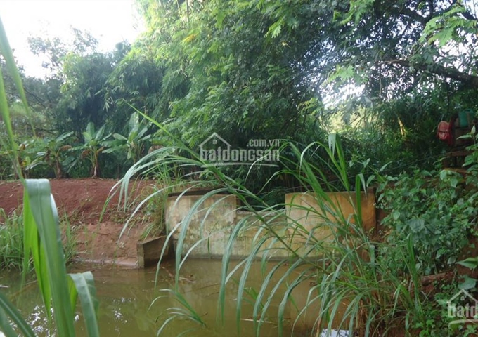 Bán dự án Hồ câu + Vườn tiêu tại Khu Sinh Thái Lô 3 thuộc thị xã Gia Nghĩa tỉnh Đắk Nông