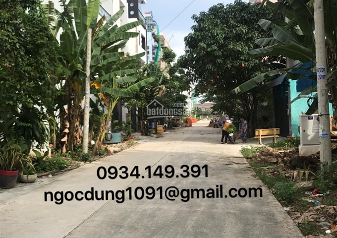 Cho thuê nhà nguyên căn đường 12m,KDC Phi Long-Dương Hồng,Bình Hưng,1 trệt,2 lầu,ST,giá 15tr/tháng