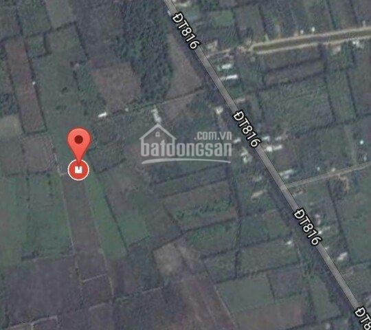 Bán đất mẫu ở đường ĐT 816 xã Bình Hòa Nam, Huyện Đức Huệ, Tỉnh Long An