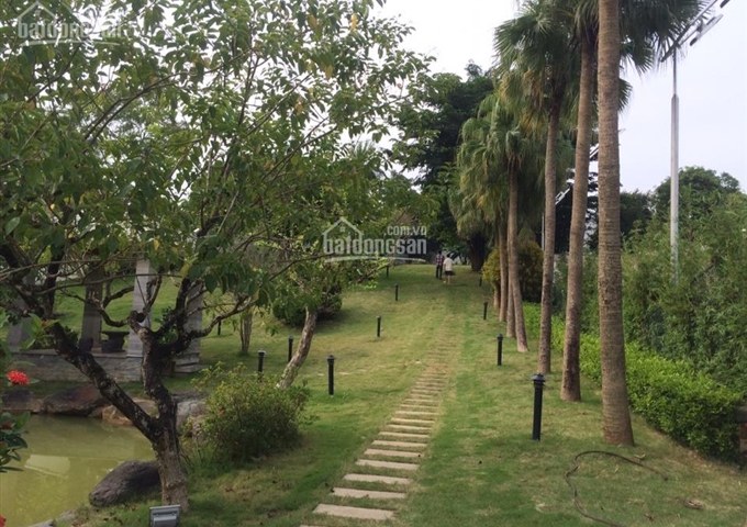 Cần nhượng 5500m2 trang trại nhà vườn hoàn thiện tuyệt đẹp tại Hòa Lạc, Quốc Oai
