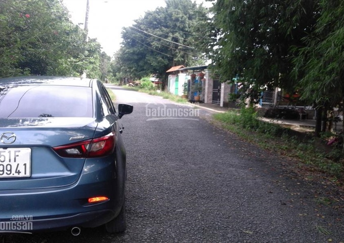 Bán đất đường Trần Thị Xong (đường 540 cũ), xã Nhuận Đức, huyện Củ Chi, TP. HCM