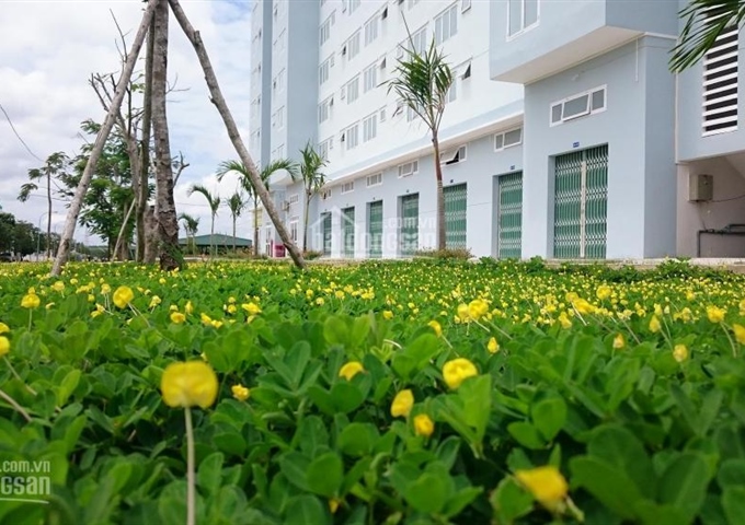 Bán nhà ở xã hội DTA Nhơn Trạch giá cực rẻ 218 triệu/căn, thanh toán 65 triệu nhận nhà ở ngay