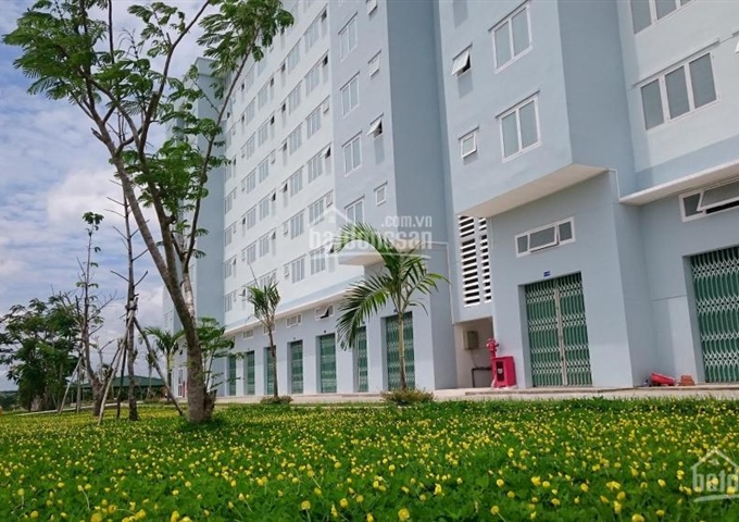 Bán nhà ở xã hội DTA Nhơn Trạch giá cực rẻ 218 triệu/căn, thanh toán 65 triệu nhận nhà ở ngay