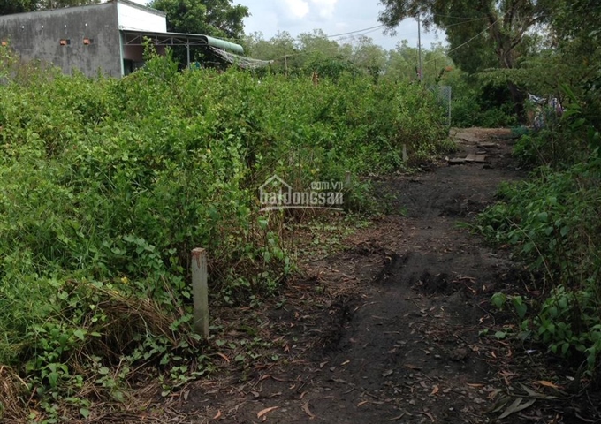 Đất ấp 3 Long Thọ, 5mx28m, sổ hồng riêng, khu đông dân, 349 tr