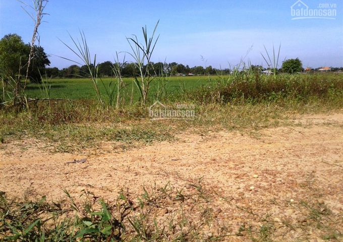 Đất thổ cư và đất vườn thị trấn Hậu Nghĩa , Đức Hòa, Long An