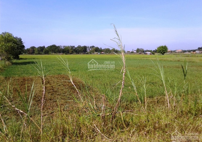 Đất thổ cư và đất vườn thị trấn Hậu Nghĩa , Đức Hòa, Long An