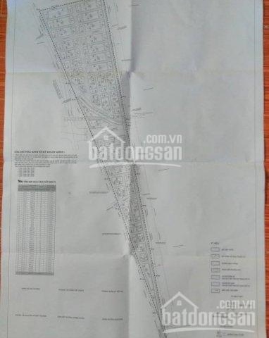 Chính chủ cần bán gấp 100m2-200m2 đất dịch vụ xã An Thượng, Hoài Đức, Hà Nội. 10 triệu-12 triệu/1m