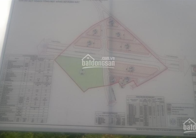 Chính chủ cần bán gấp 100m2-200m2 đất dịch vụ xã An Thượng, Hoài Đức, Hà Nội. 10 triệu-12 triệu/1m