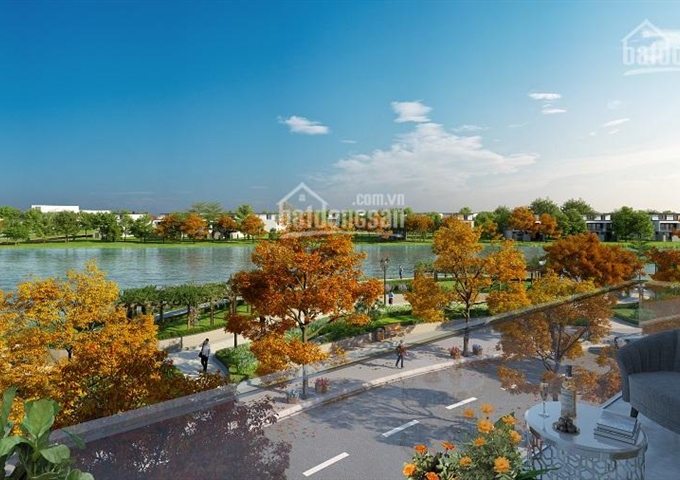 Bán gấp B46, B55, D46, D49, C10 dự án Rio Vista