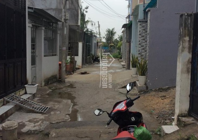 Cho thuê phòng trọ QL50, Xã Phong Phú, Bình Chánh, giá: 1.3 triệu/tháng