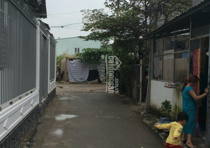 Cho thuê phòng trọ QL50, Xã Phong Phú, Bình Chánh, giá: 1.3 triệu/tháng