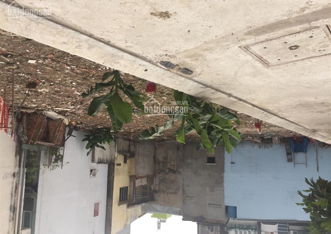 Bán đát nền Quang Trung, phường 10, Gò Vấp, HCM 9 nền giá từ 2.5 đến 2.95 tỷ / nền