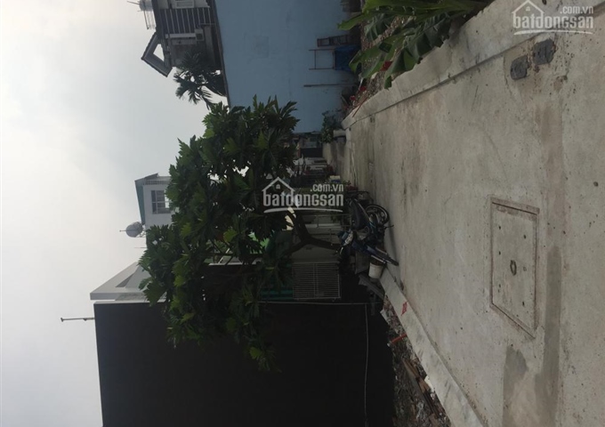 Bán đát nền Quang Trung, phường 10, Gò Vấp, HCM 9 nền giá từ 2.5 đến 2.95 tỷ / nền