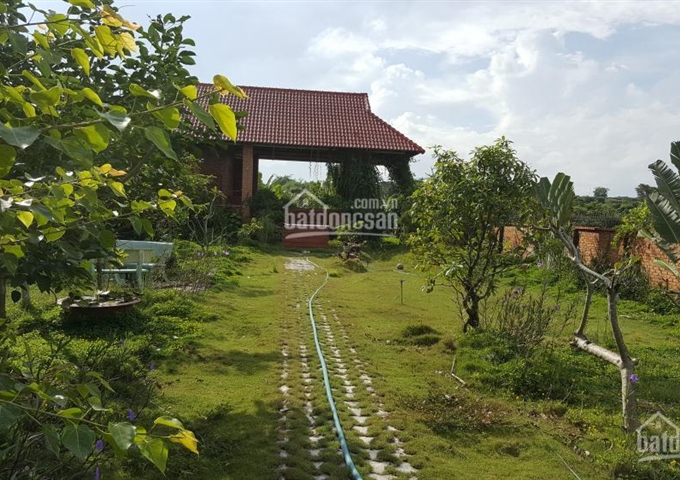 Chính chủ cần bán nhà vườn 1000m2 tại Phan Thiết - Bình Thuận