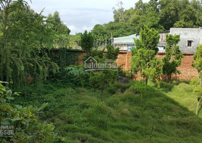 Chính chủ cần bán nhà vườn 1000m2 tại Phan Thiết - Bình Thuận