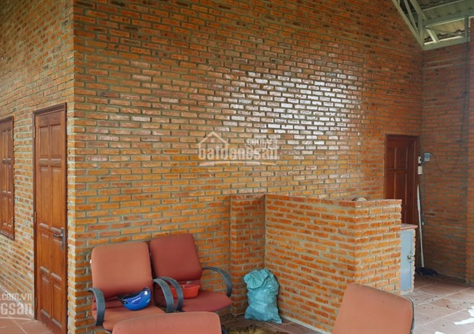 Chính chủ cần bán nhà vườn 1000m2 tại Phan Thiết - Bình Thuận